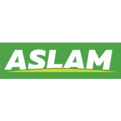 ASLAM